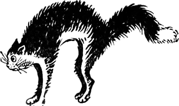 Ink line-art cat